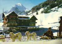 atraineauchiens.jpg (30150 octets)