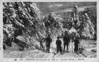 askieursdanslaforet.JPG (29916 octets)
